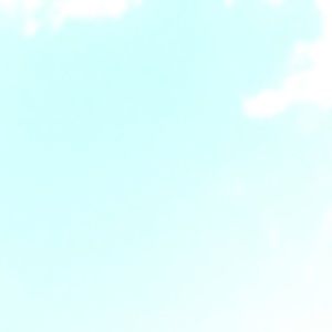 Meet your Posher, Ariana